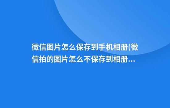 微信图片怎么保存到手机相册(微信拍的图片怎么不保存到相册)