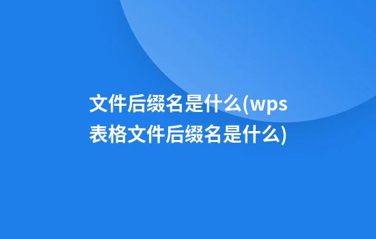 文件后缀名是什么(wps表格文件后缀名是什么)